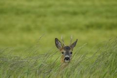 Kuznia-w-Siodelku-Trasa-rowerowa-Opole-Wzdluz-Jemielnicy-1