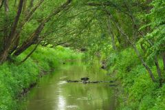 Kuznia-w-Siodelku-Trasa-rowerowa-Opole-Wzdluz-Jemielnicy-7