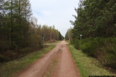 Kuznia-w-Siodelku-Spacer-po-lesie-13