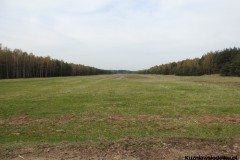 Kuznia-w-Siodelku-Spacer-po-lesie-17