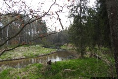 Kuznia-w-Siodelku-Spacer-po-lesie-2