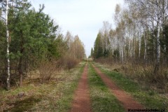 Kuznia-w-Siodelku-Spacer-po-lesie-8