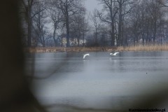 Kuznia-w-Siodelku-Rezerwat-Lezczok-Marzec-15