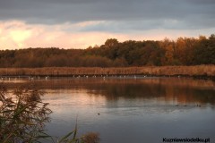 Kuznia-w-siodelku-Rezerwat-Lezczok-w-Listopadzie-20