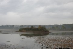 Kuznia-w-siodelku-Rezerwat-Przyrody-Lezczok-Pazdziernik-28