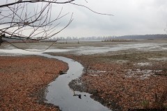 Kuznia-w-siodelku-Rezerwat-przyrody-Lezczok-Listopad-5