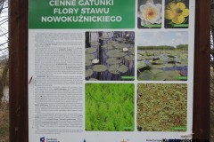 Kuznia-w-siodelku-Rezerwat-Przyrody-Staw-Nowokuznicki-12