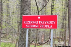Kuznia-w-Siodelku-Rezerwat-Srebrne-Zrodla-2