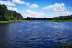Kuznia-w-siodelku-Trasa-rowerowa-Staw-Kozielawy-5