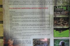 Kuznia-w-Siodelku-Szwajcaria-Rachowicka-2