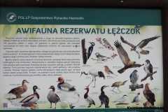 Kuznia-w-siodelku-Rezerwat-przyrody-Lezczok-Grudzien-16