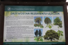 Kuznia-w-siodelku-Rezerwat-przyrody-Lezczok-Grudzien-18