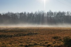 Kuznia-w-siodelku-Jesien-w-ogrodzie-4