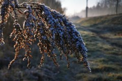 Kuznia-w-siodelku-Jesien-w-ogrodzie-5