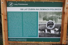 Kuznia-w-siodelku-Zagroda-Zubrow-w-Raciborzu-10
