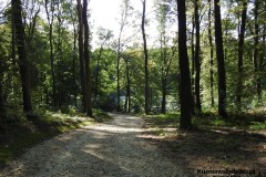 Kuznia-w-siodelku-Zagroda-Zubrow-w-Raciborzu-14