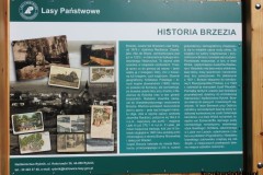 Kuznia-w-siodelku-Zagroda-Zubrow-w-Raciborzu-17