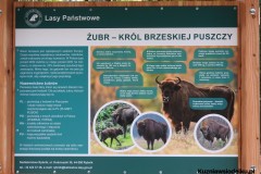 Kuznia-w-siodelku-Zagroda-Zubrow-w-Raciborzu-3
