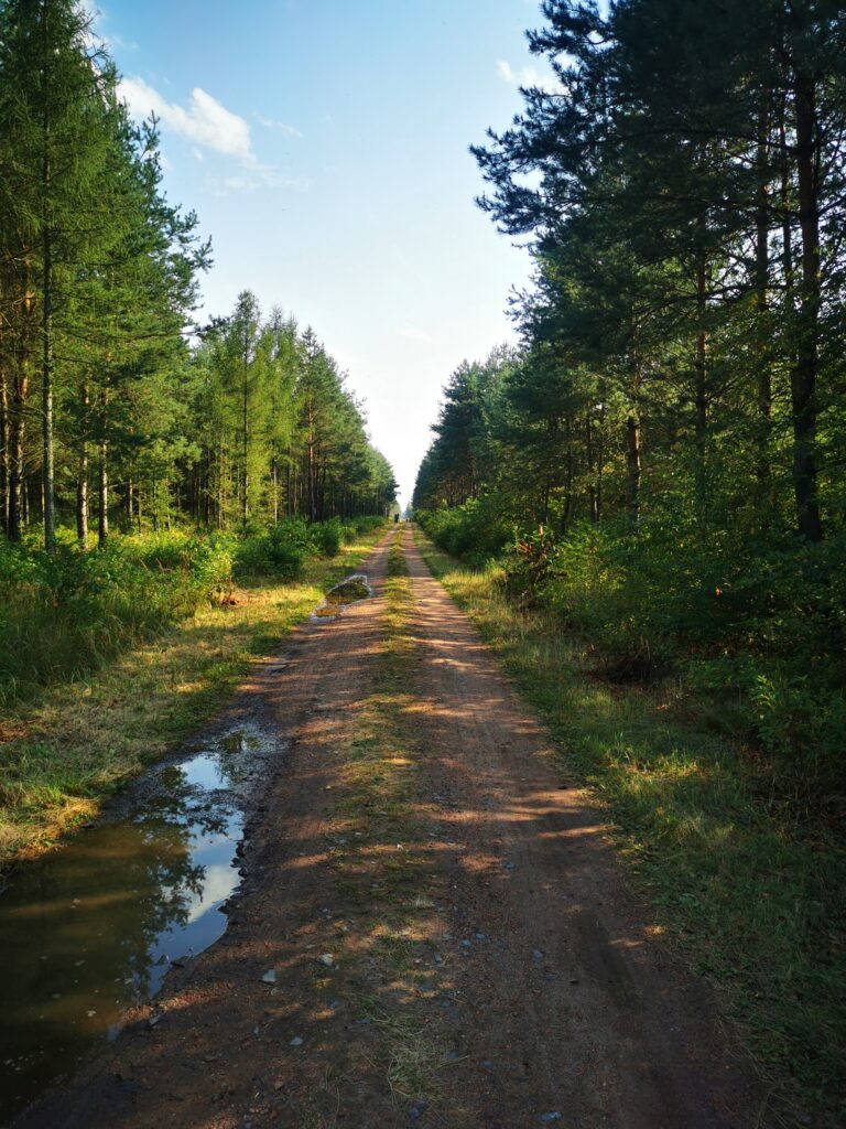 Kuźnia W Siodełku - Trasa Od lotniska