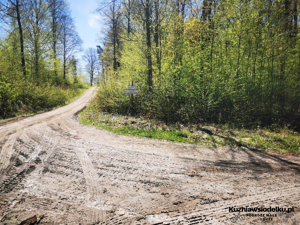 Strzelińskie Single Tracki