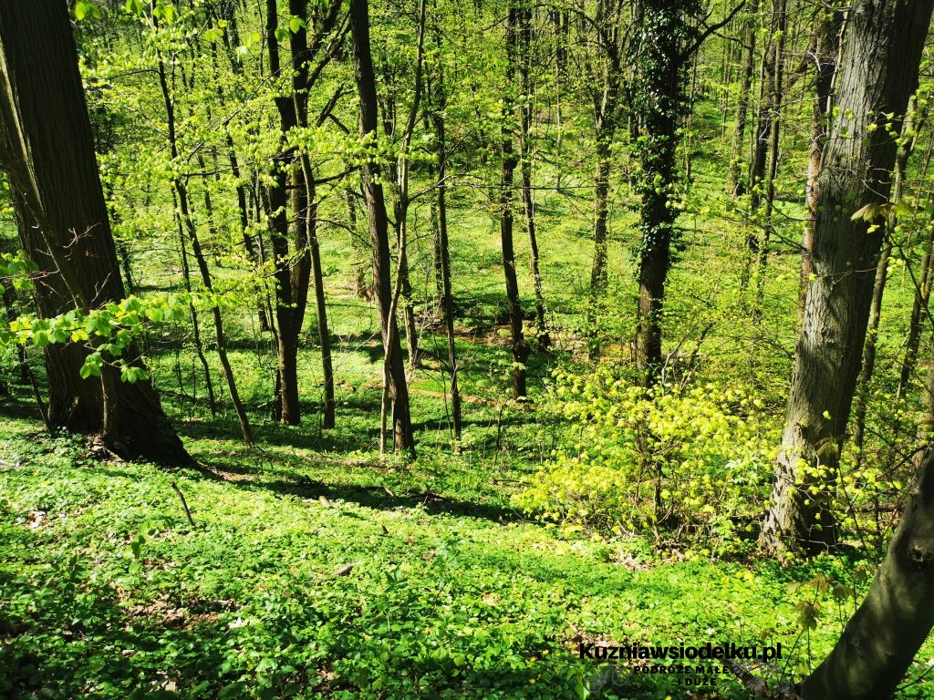 Strzelińskie Single Tracki