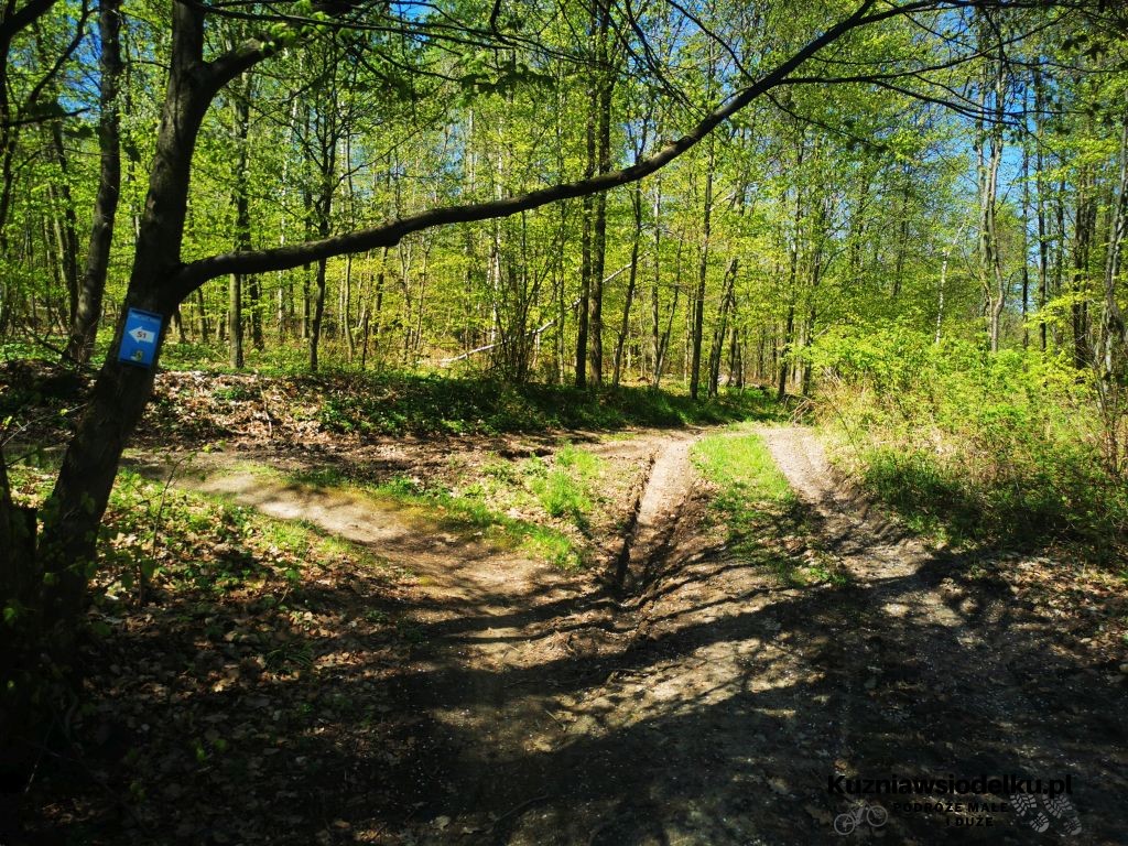 Strzelińskie Single Tracki