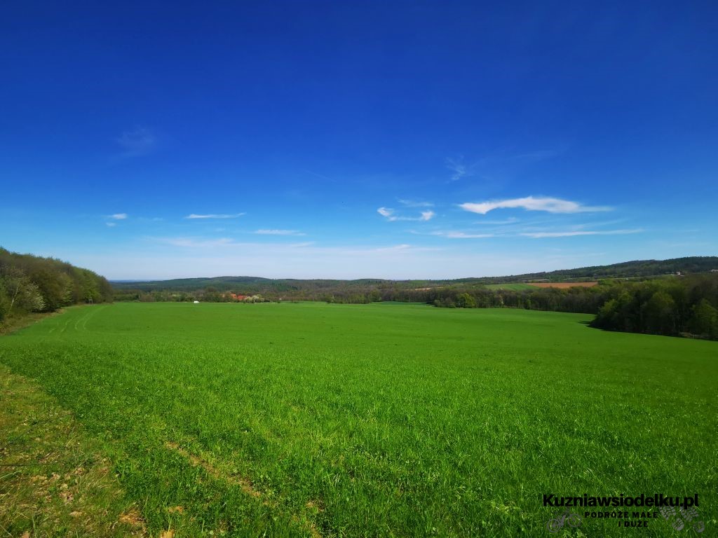 Strzelińskie Single Tracki