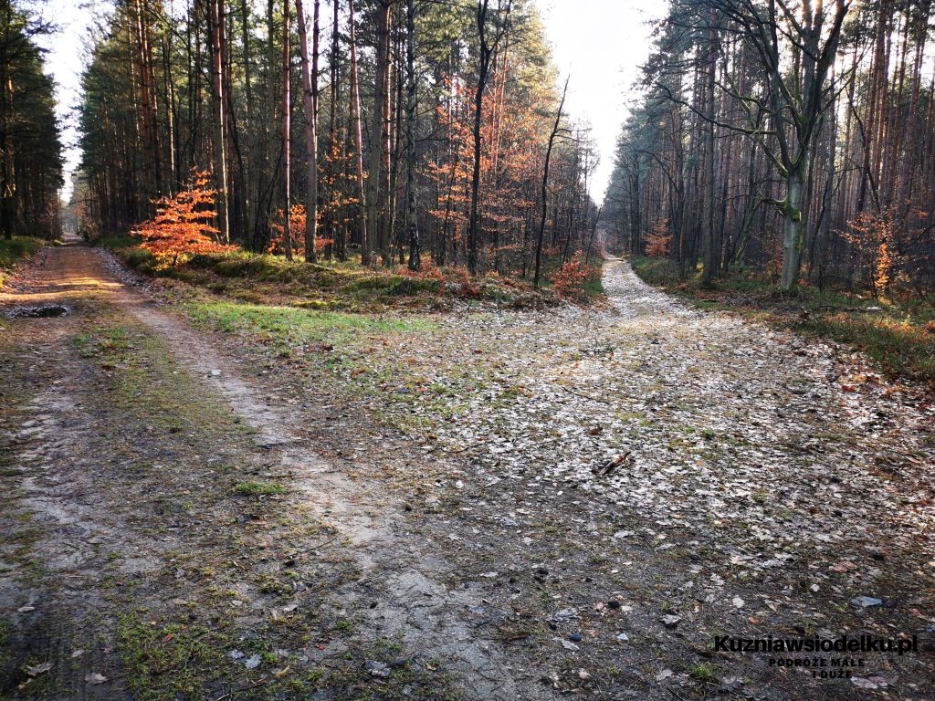 Zwonowice Zwonowice