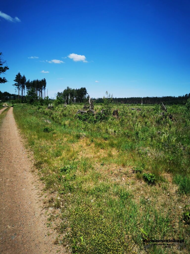 Sławików Sławików