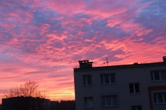 Zima