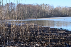 Kuźnia w Siodełku - Łężczok 29