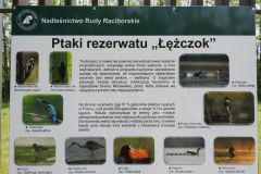 Kuznia-w-Siodelku-Lezczok-Maj-39
