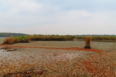 Kuznia w Siodelku - Pazdziernik Lezczok 13