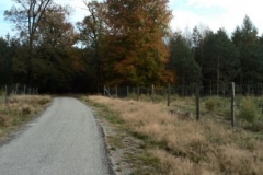 Trasa-rowerowa-Spotkanie-z-drapieznikiem-0