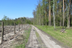 Kuznia W Siodelku - Syfon Klodnicki 8