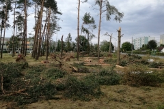 Kuznia W Siodelku - Trasa rowerowa Szlakiem Wichury 5