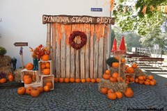 Kuznia-w-siodelku-Dyniowa-stacja-1