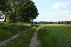 Kuznia-w-Siodelku-Trasa-rowerowa-Wzdluz-Jemielnicy-4