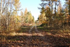 Kuznia-w-Siodelku-Jednostka-Wojskowa-Kuznia-Raciborska-21