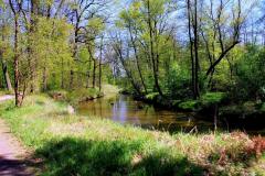 Park-Krajobrazowy-Cysterskie-Kompozycje-Krajobrazowe-Rud-Wielkich-10
