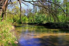 Park-Krajobrazowy-Cysterskie-Kompozycje-Krajobrazowe-Rud-Wielkich-3