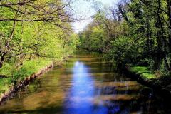 Park-Krajobrazowy-Cysterskie-Kompozycje-Krajobrazowe-Rud-Wielkich-5