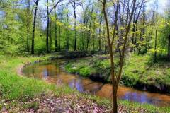 Park-Krajobrazowy-Cysterskie-Kompozycje-Krajobrazowe-Rud-Wielkich-8