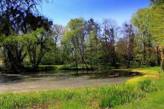 Park-Krajobrazowy-Cysterskie-Kompozycje-Krajobrazowe-Rud-Wielkich-9