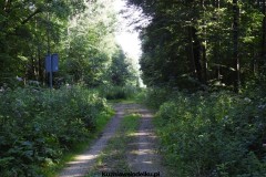 Kuznia-w-Siodelku-Trasy-rowerowe-Kosorowice-1