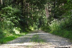 Kuznia-w-Siodelku-Trasy-rowerowe-Kosorowice-2