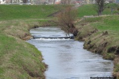 Kuznia-w-siodelku-Trasa-rowerowa-Kuznia-Nedza-Turze-Kuznia-4