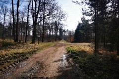 Kuznia-w-siodelku-Trasa-rowerowa-Kuznia-Nedza-Turze-Kuznia-5