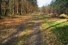 Kuznia-w-siodelku-Trasa-rowerowa-Kuznia-Nedza-Turze-Kuznia-8