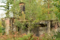 Kuznia-w-siodelku-Lasy-wokol-Kuzni-5
